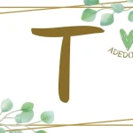 Objetos com T