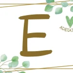 Objetos com E