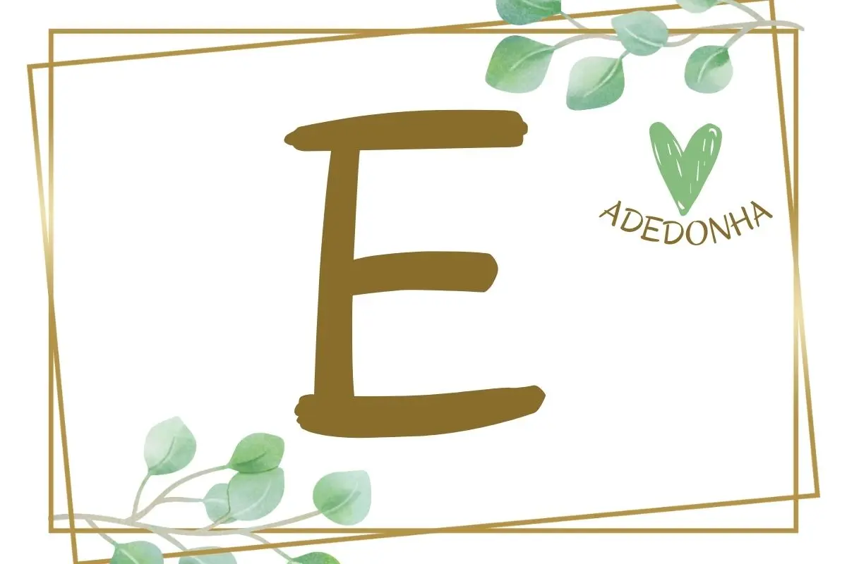 Objetos com E