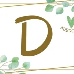 Objetos com D