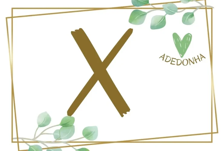 Objetos com X