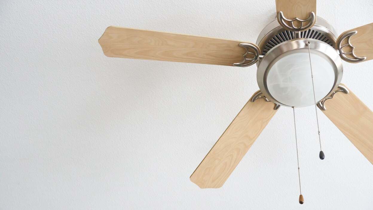 ventiladores de teto