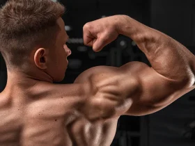 metandrostenolona para que serve